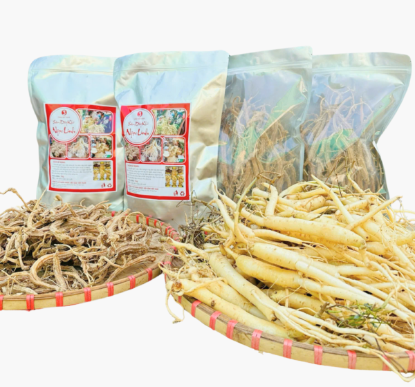 Sâm Dây  Ngọc Linh  Tươi Loại Lớn